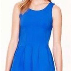 J Crew Pleated Flare Dress